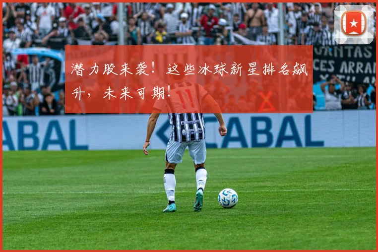潜力股来袭!这些冰球新星排名飙升,未来可期!