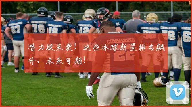 潜力股来袭！这些冰球新星排名飙升，未来可期！